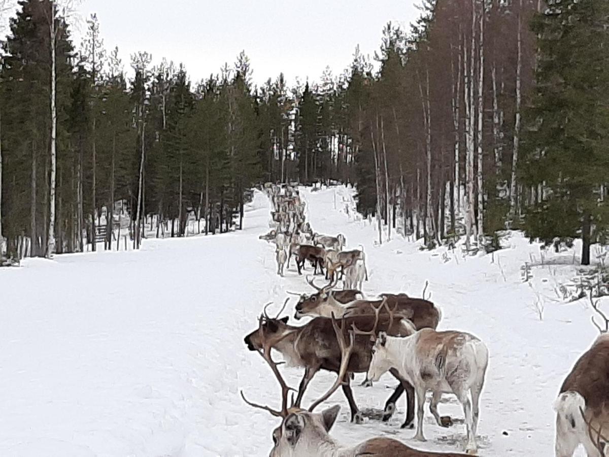 Reindeer Lake Resort Lampsijärvi Esterno foto