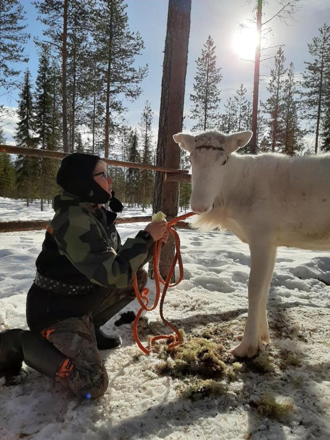 Reindeer Lake Resort Lampsijärvi Esterno foto