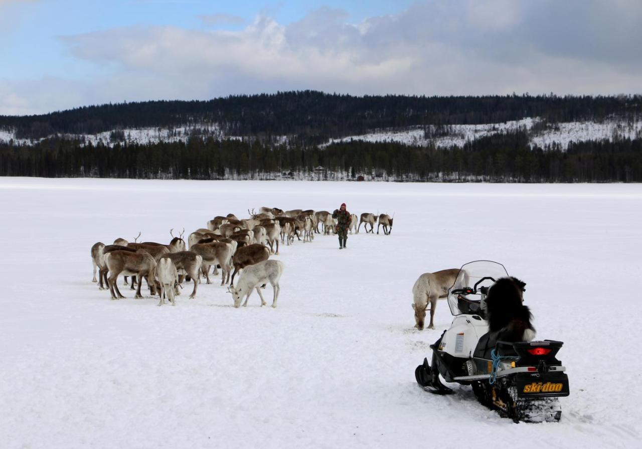 Reindeer Lake Resort Lampsijärvi Esterno foto