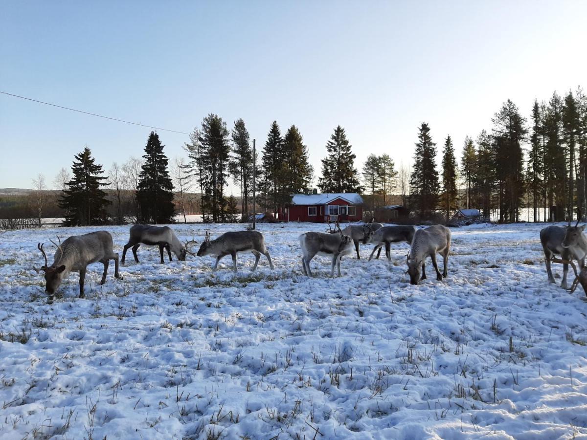 Reindeer Lake Resort Lampsijärvi Esterno foto