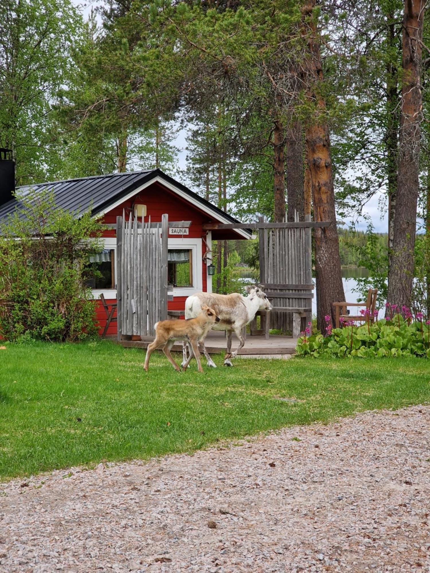 Reindeer Lake Resort Lampsijärvi Esterno foto