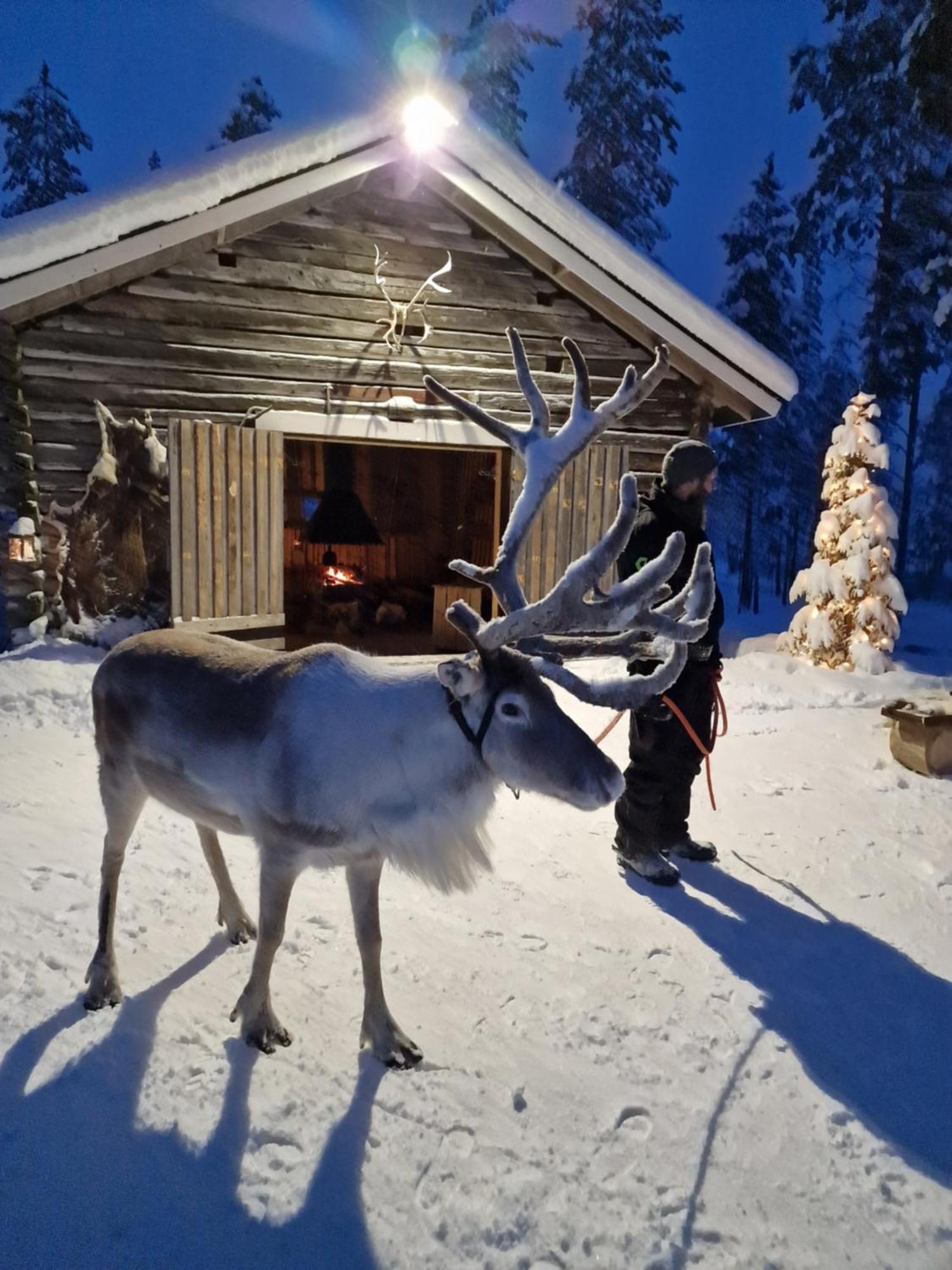 Reindeer Lake Resort Lampsijärvi Esterno foto