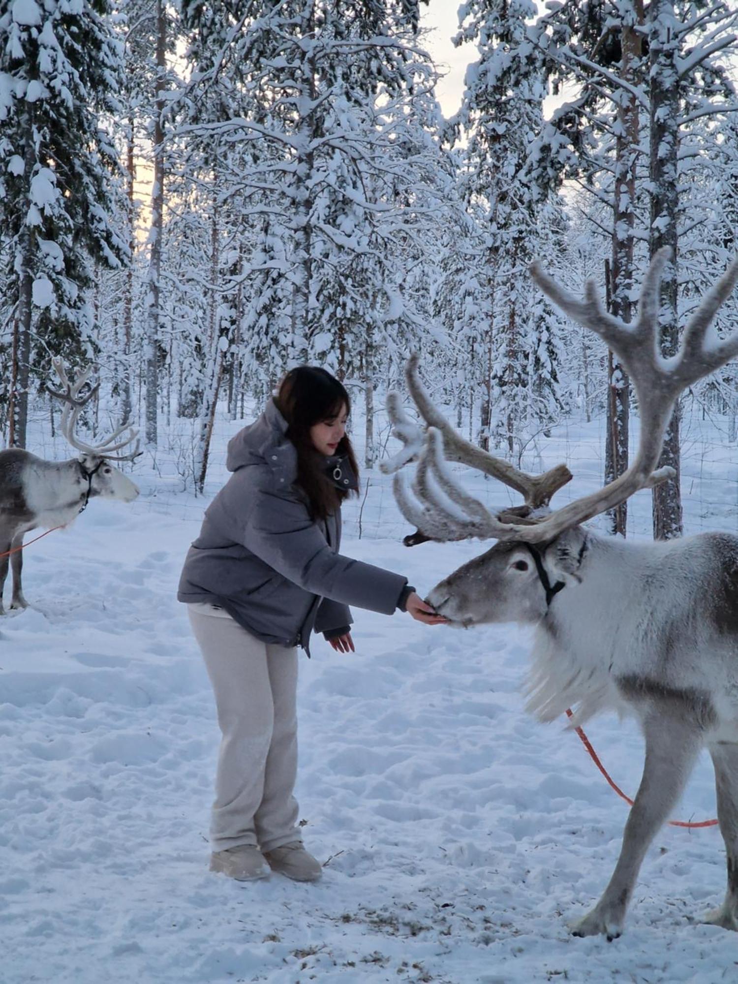 Reindeer Lake Resort Lampsijärvi Esterno foto