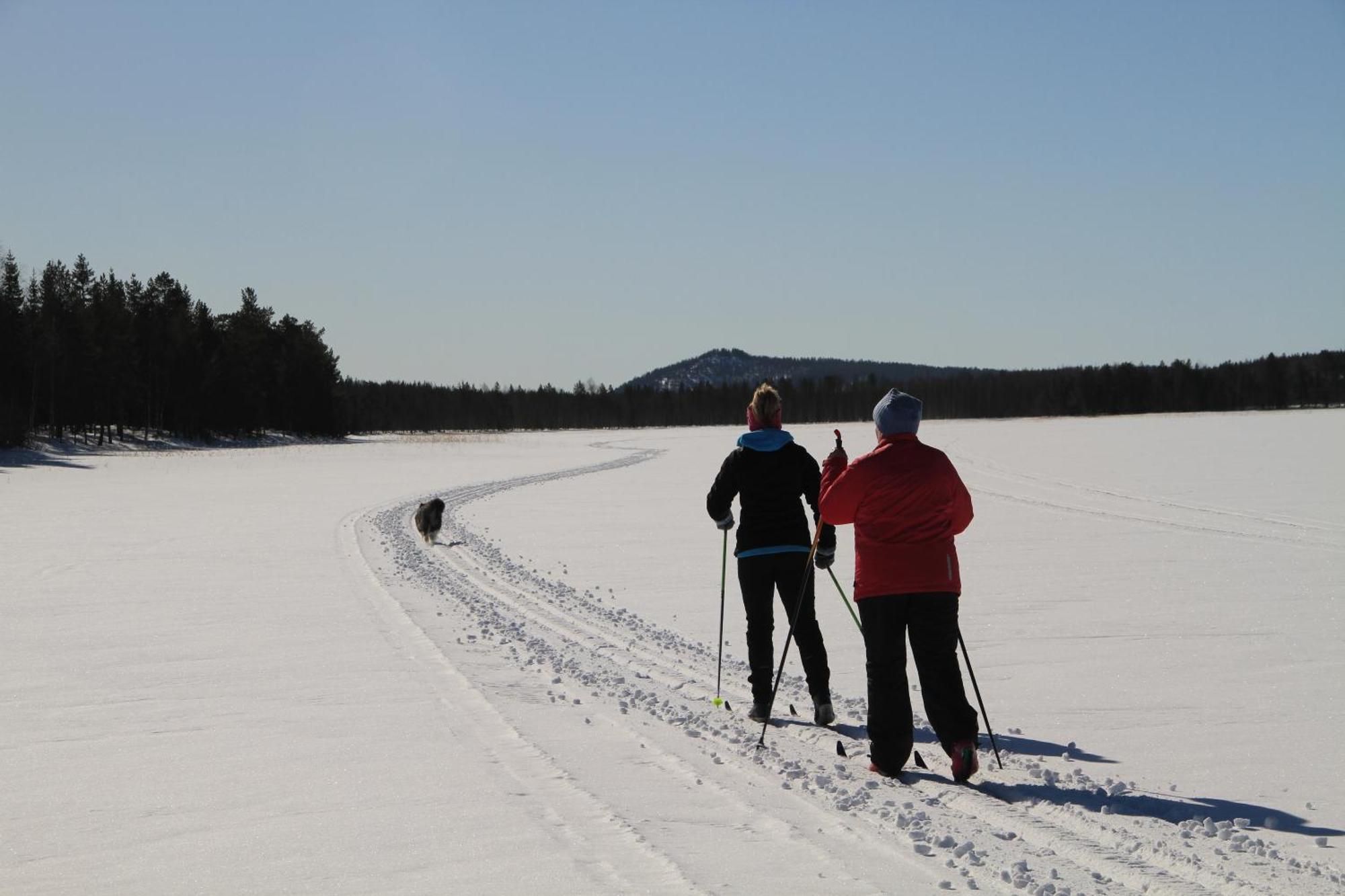 Reindeer Lake Resort Lampsijärvi Esterno foto